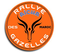 buggy_experaid_merzouga_4x4_maroc_rallye_raid logo aicha des gazelles
